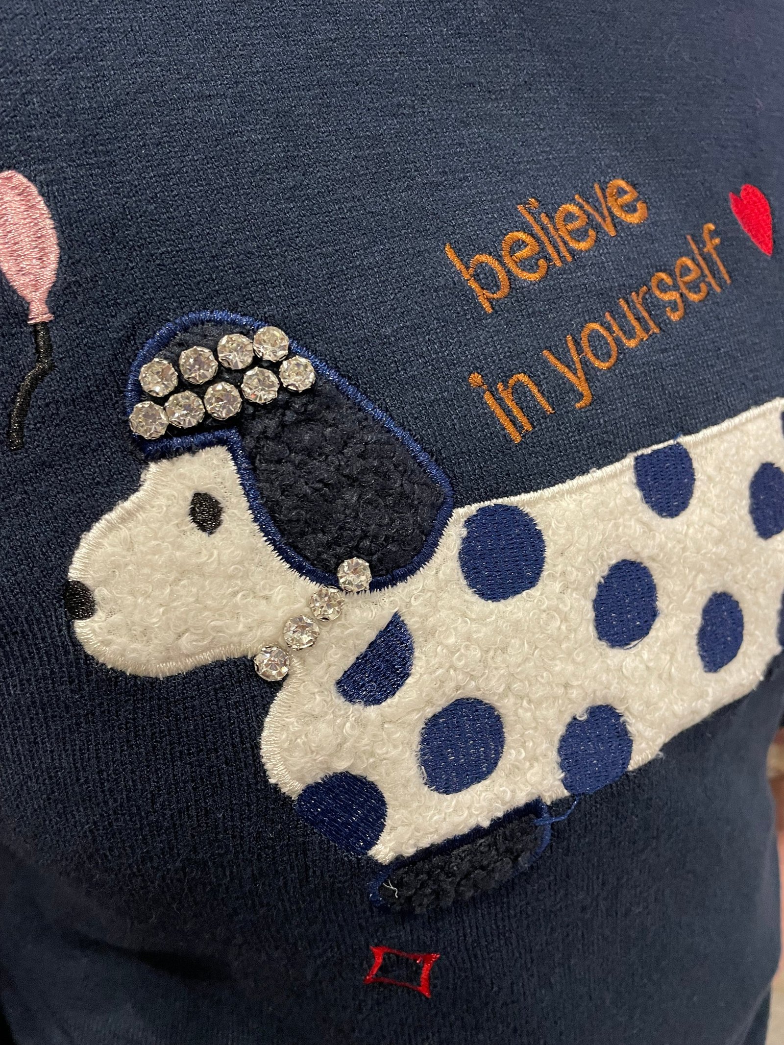 Maglioncino Ricamato Civico218 – Believe